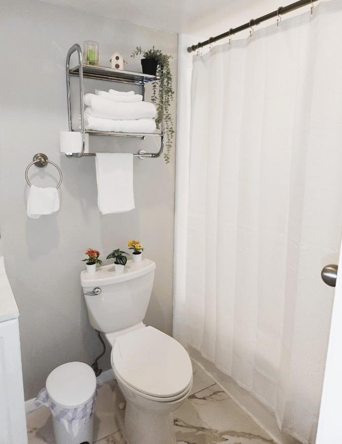Adorable Mini Suite In Тампа Екстериор снимка