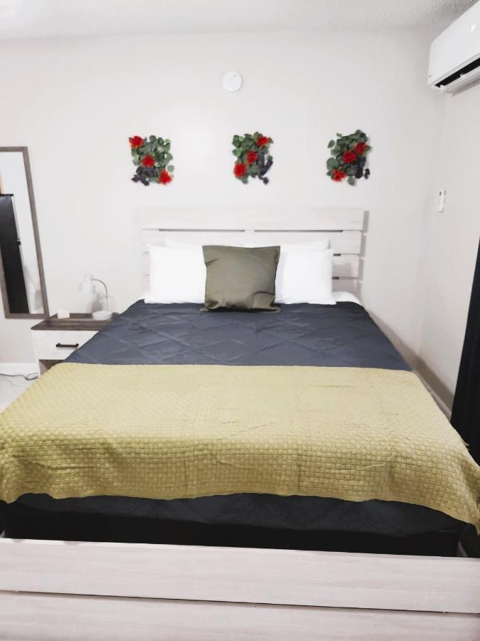 Adorable Mini Suite In Тампа Екстериор снимка